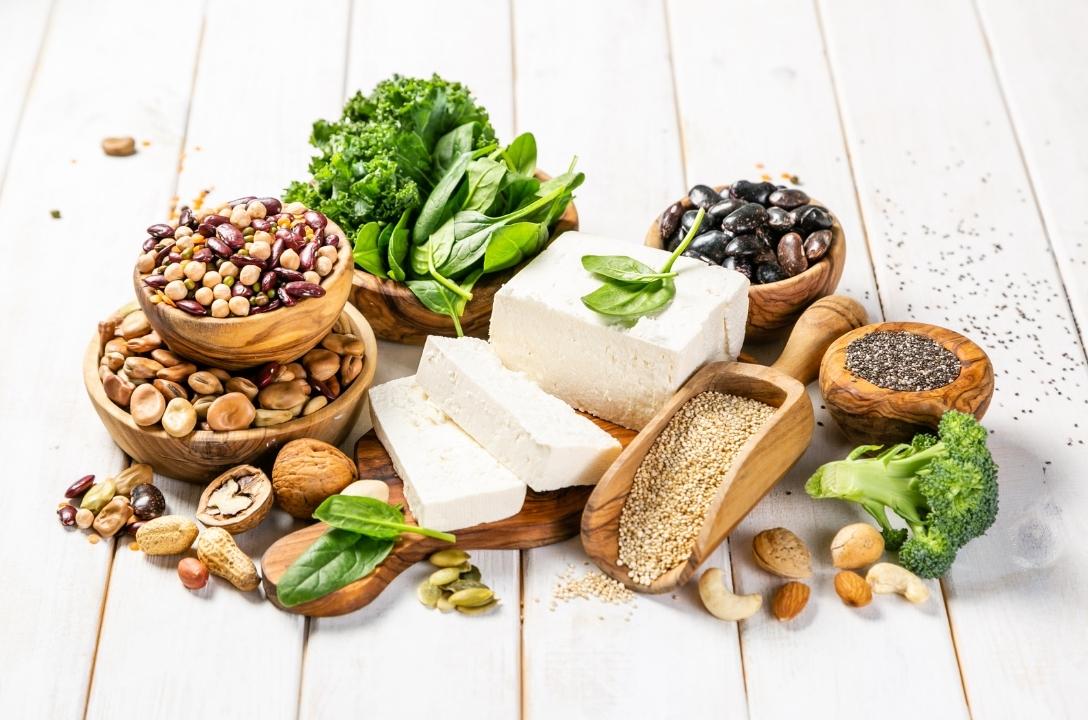 plant-based protein sources including nuts, seeds, legumes, beans, tofu