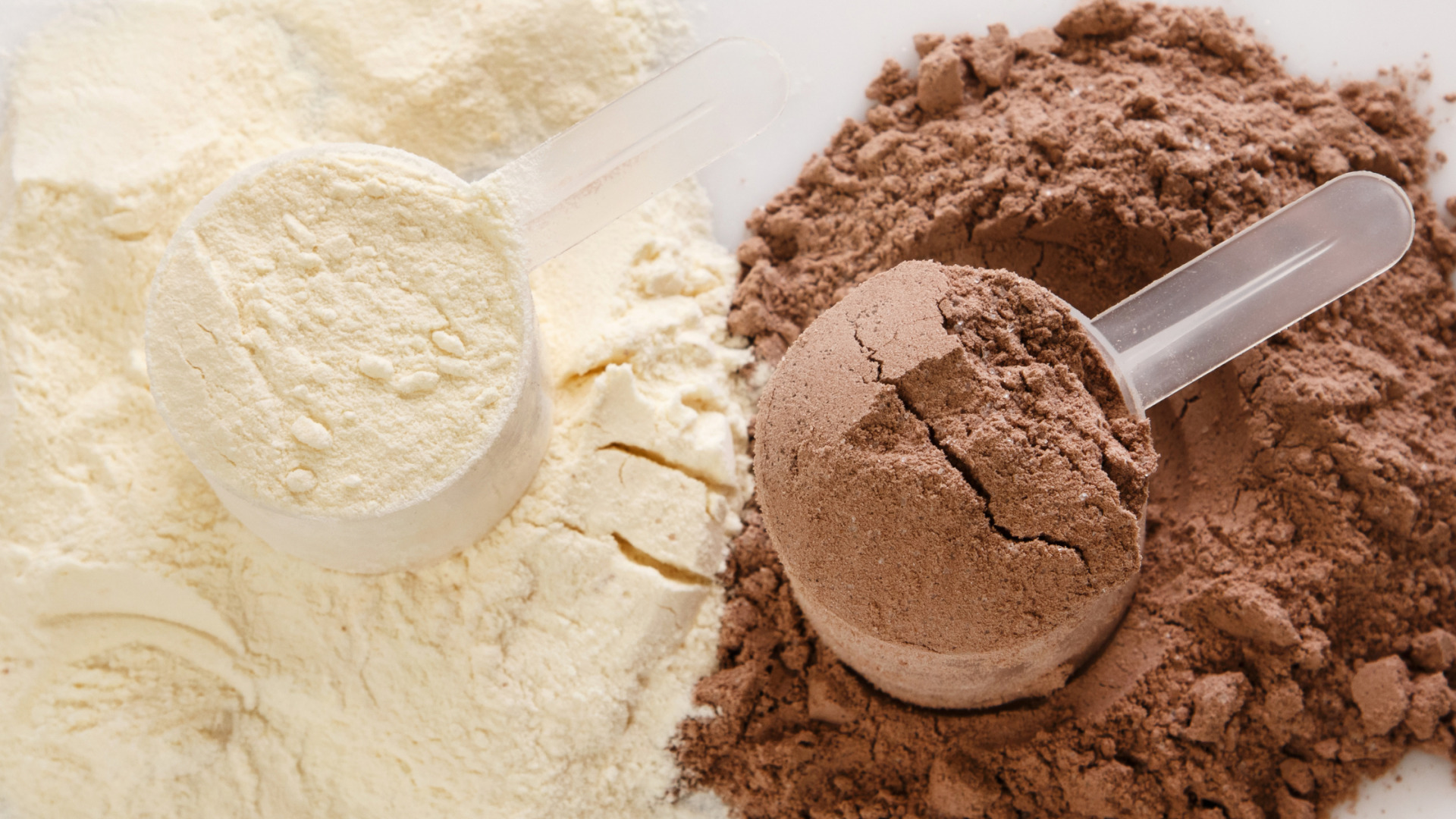 protein powders can be a great option for leucine for vegans