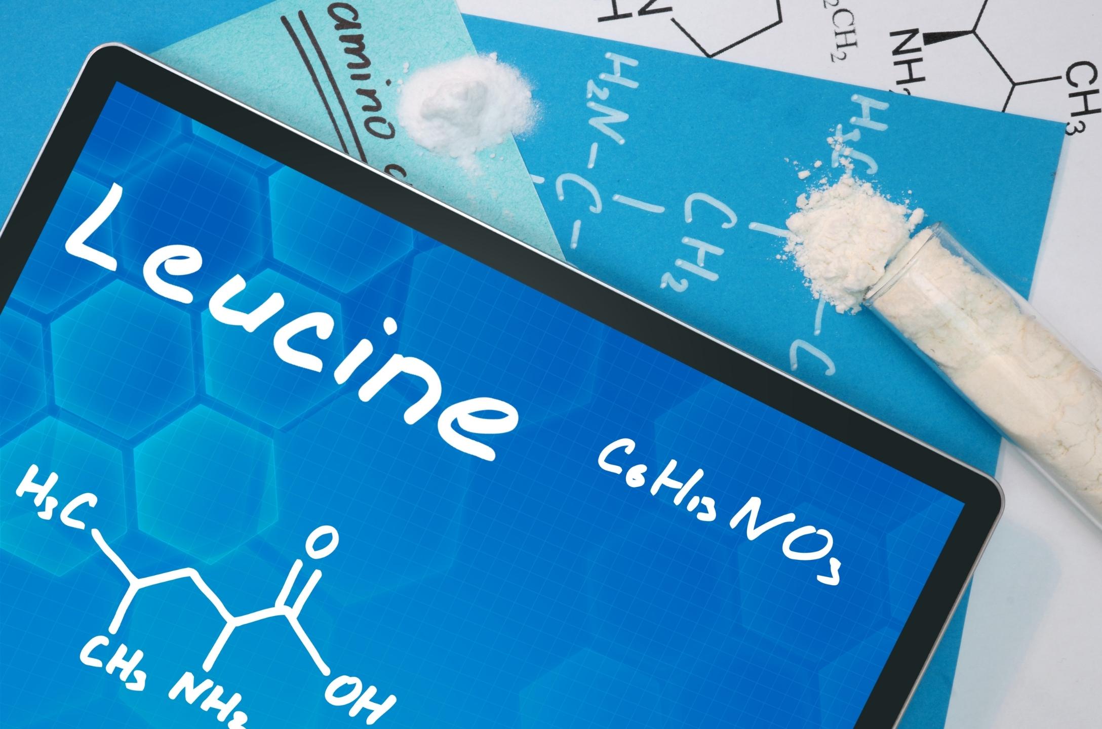 leucine for vegans chemical structure, white powder BCAAs